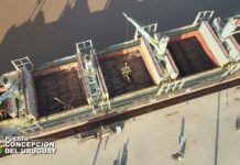 Zarpó el noveno buque del año con exportaciones hacia la India