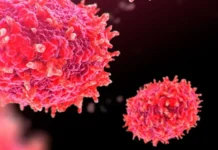 Cuán grave es el brote de mpox y otras 4 preguntas sobre la enfermedad que forzó a la OMS a declarar una emergencia sanitaria internacional