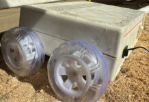 Estudiantes uruguayenses fabrican un robot que ayuda en la crianza de pollos parrilleros