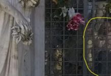 Demandan a un profesor de historia por investigar a un «niño fantasma»