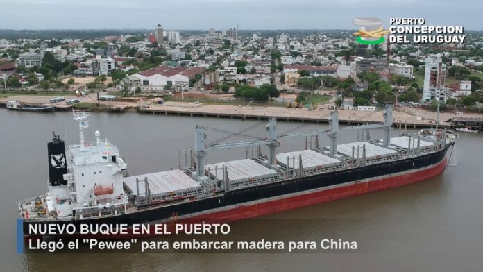 Arribó el ultramarino Pewee y comienza una nueva exportación desde el Puerto de Concepción del Uruguay