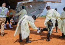 Ascienden a 864 los muertos por el brote de ébola en el Congo