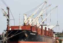 Puerto uruguayense prepara nueva exportación de madera a India