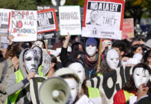 Protesta socioambiental frente a la residencia de Peter Thiel en Buenos Aires