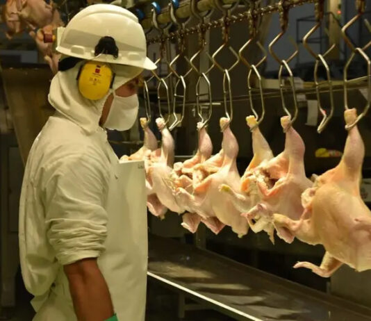 Trabajadores despedidos en Entre Ríos llevaron su crisis al Congreso