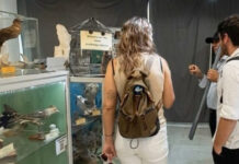 Museo de Ciencias Naturales abre jornada especial para adultos mayores