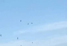 Cayó una avioneta fumigadora en Gualeguaychú y el piloto quedó internado