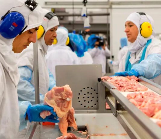 Granja Tres Arroyos suma 480 despidos en Concepción del Uruguay