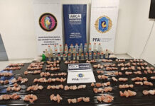 Incautan 52 kilos de MDMA, el mayor decomiso de éxtasis en Argentina