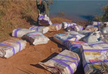 Gendarmería secuestra 800 kilos de marihuana en Misiones