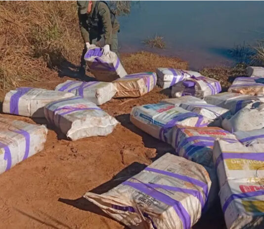 Gendarmería secuestra 800 kilos de marihuana en Misiones