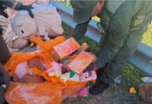 Incautan 54 kilos de droga en peluches de capibara en Catamarca