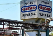 Dos avícolas de Concepción del Uruguay buscan nuevos dueños