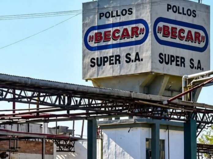 Dos avícolas de Concepción del Uruguay buscan nuevos dueños