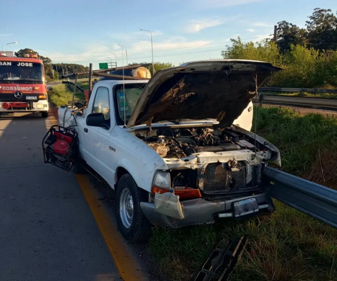 Ciervo provoca despiste y deja un herido grave en la Autovía