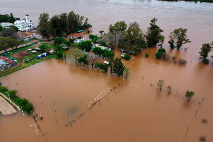 El Niño: advierten que crecidas del Paraná y Uruguay podrían agravarse entre enero y abril