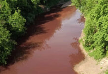 Alerta por «pulsos tóxicos» que tiñen de rojo arroyos de Entre Ríos tras las lluvias