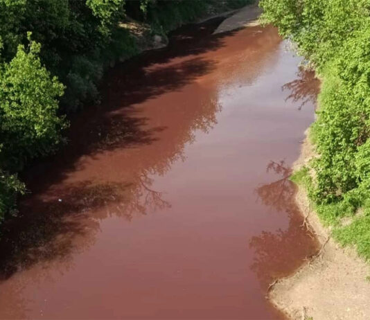 Alerta por «pulsos tóxicos» que tiñen de rojo arroyos de Entre Ríos tras las lluvias